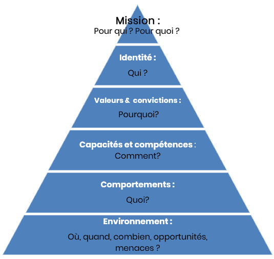 Environnement, Comportements, Capacités, Valeurs et croyances, Identité, Appartenance.